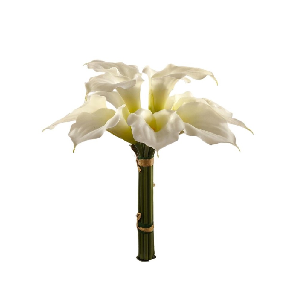 BUSH CALLA LILY X 12 40CM